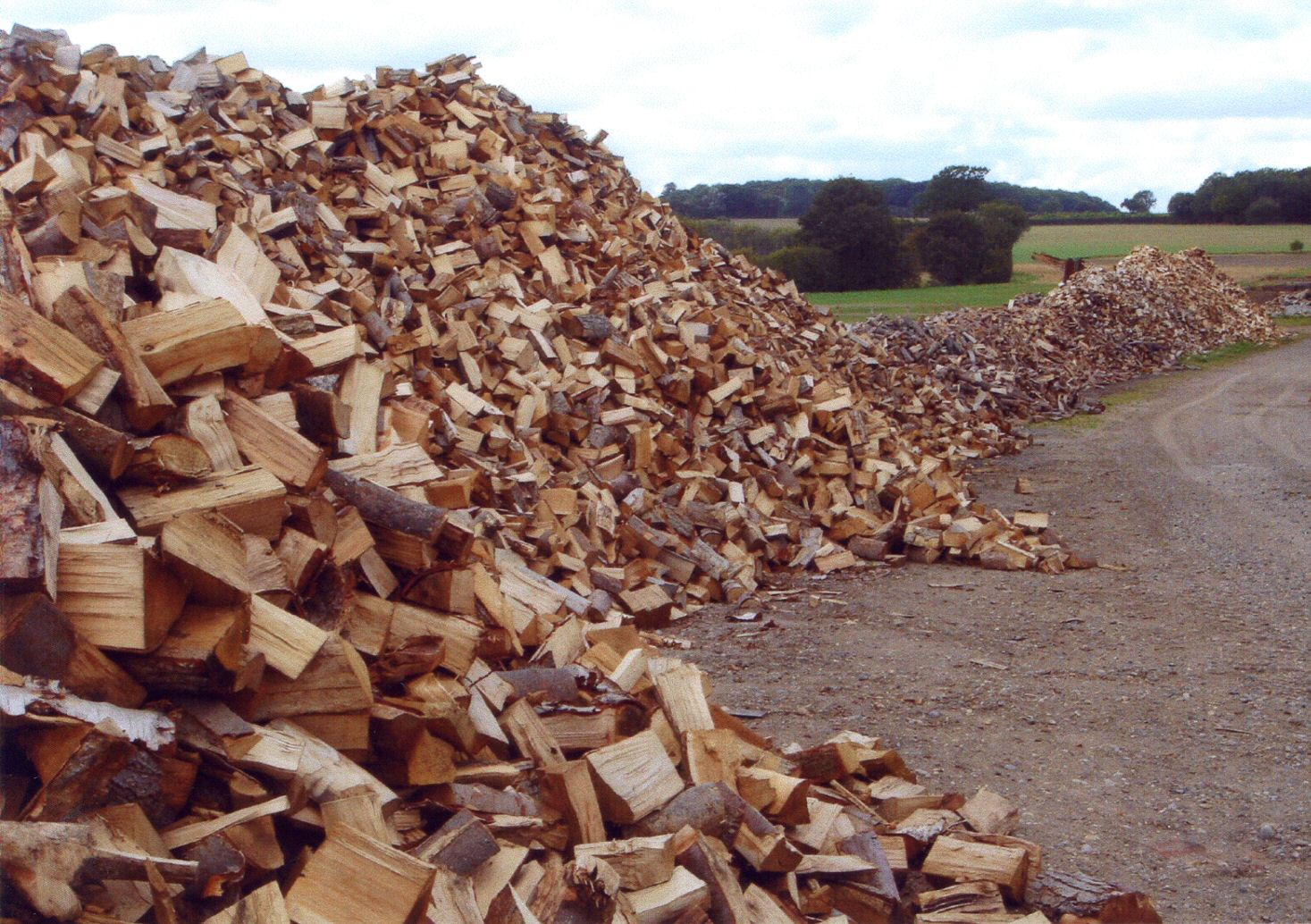 After seasoning outdoors, the wood is tipped over a grate to remove small pieces, as well as miscellaneous debris
