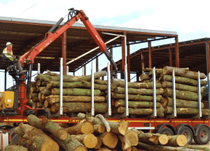 A lorry delivering round wood arriving at our yard